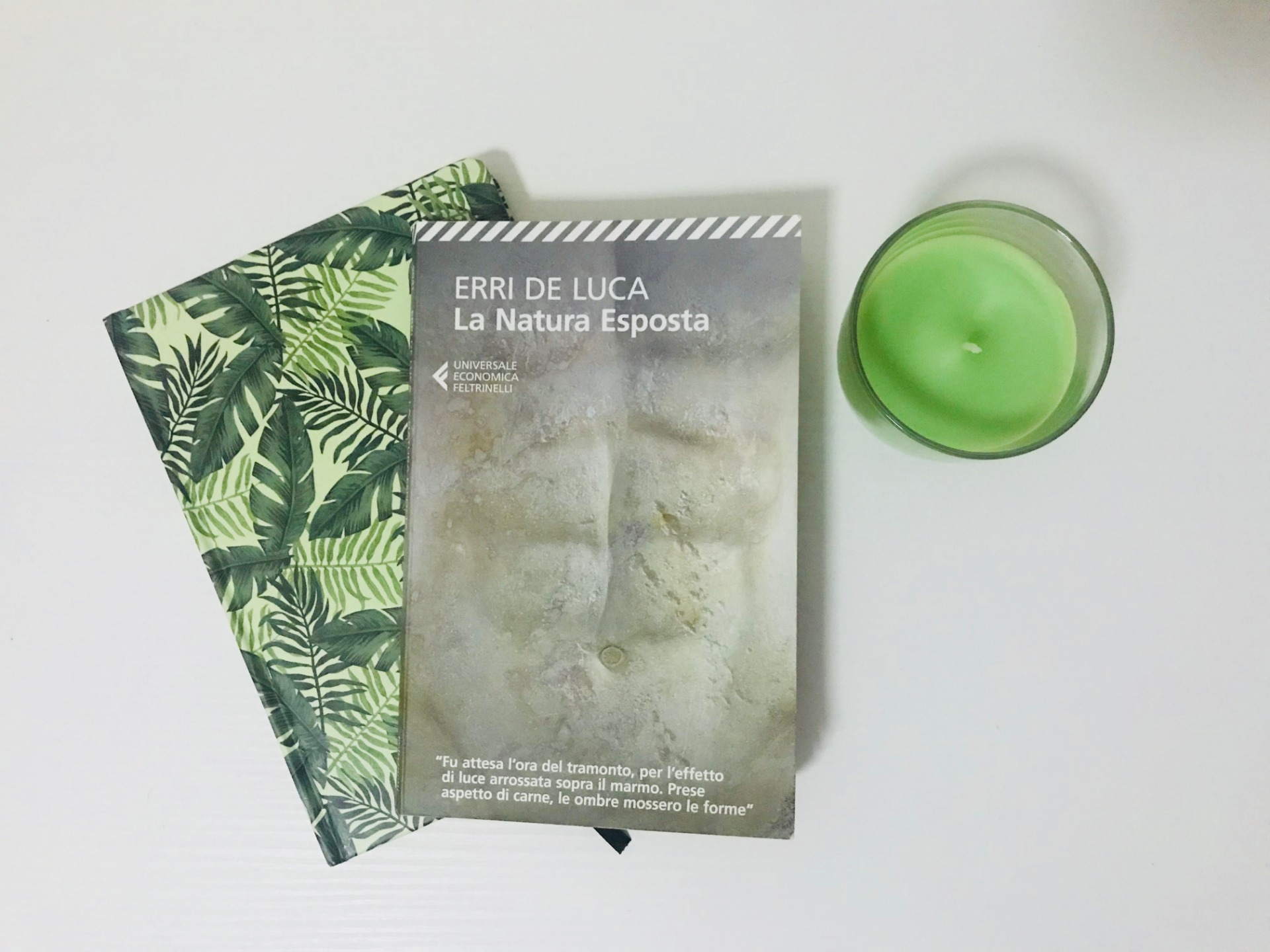 La Natura Esposta, Erri De Luca